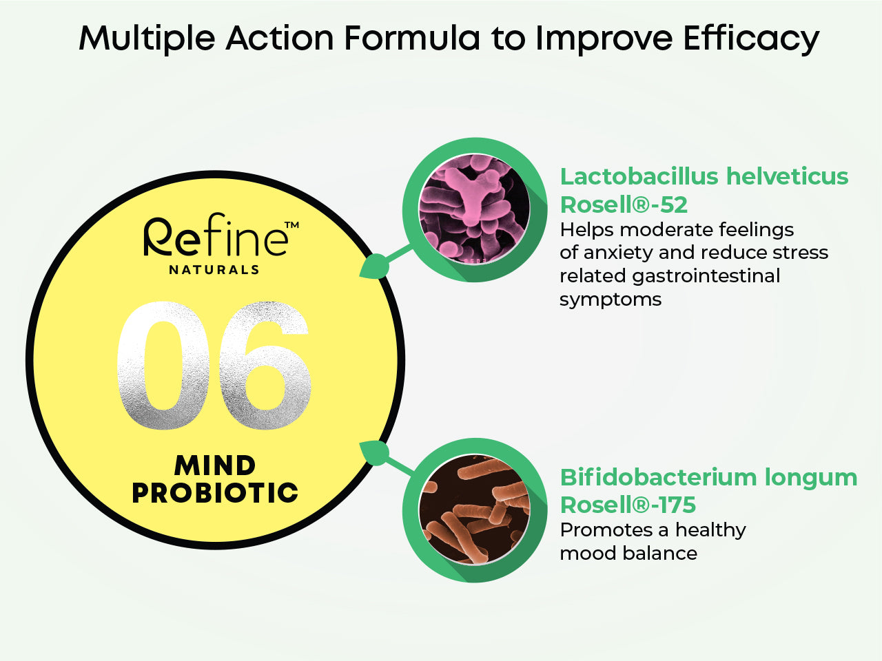 Mind Probiotic Supplement for BOTH Gut Health and Brain – Refine Naturals™